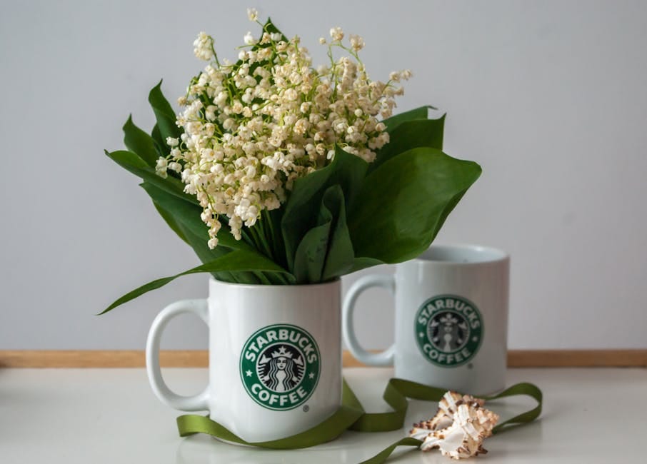 evde starbucks tarzı i̇çecekler nasıl yapılır? ile ilgili görsel